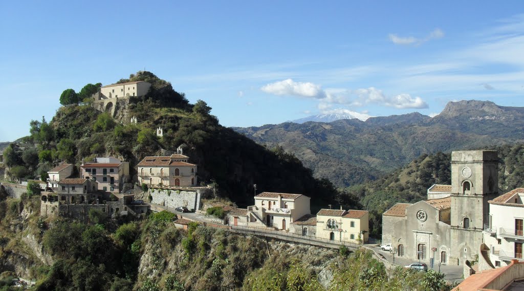 savoca2