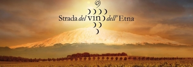 vino1