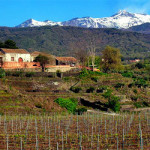 vino2